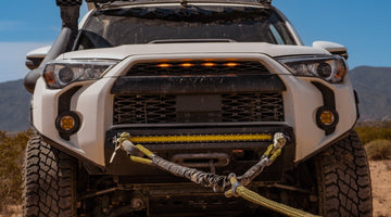 Why the Sandy Cats Bridle is Essential for Safe Off-Road Recoveries - SandyCats