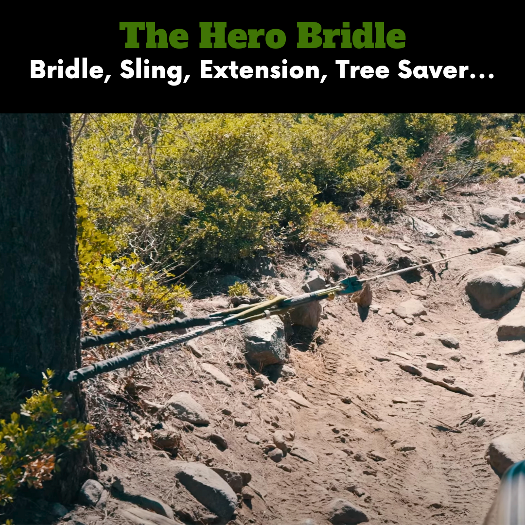 Hero bridle recovery sling as a tree saver