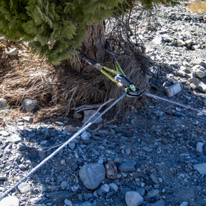 Bridle being used as a redirect and tree saver