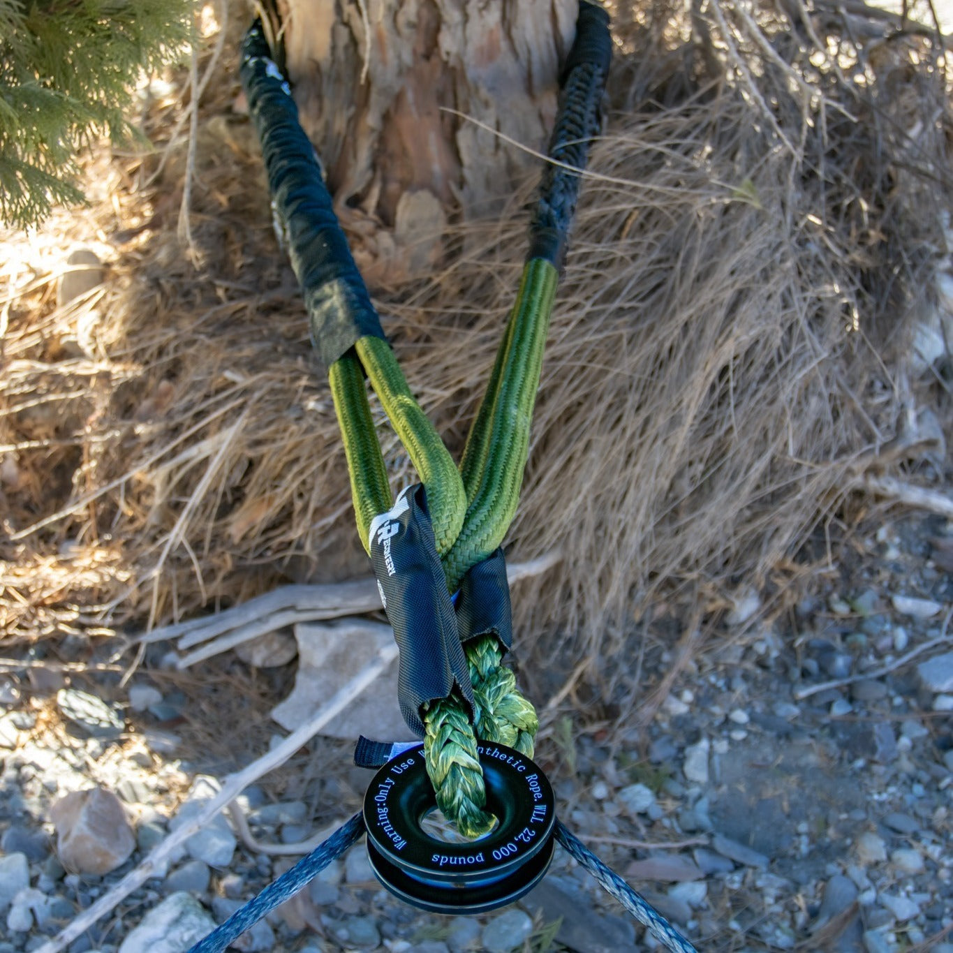 Hero Bridle around the base of a tree, both eyes joined to a pulley with a soft shackle