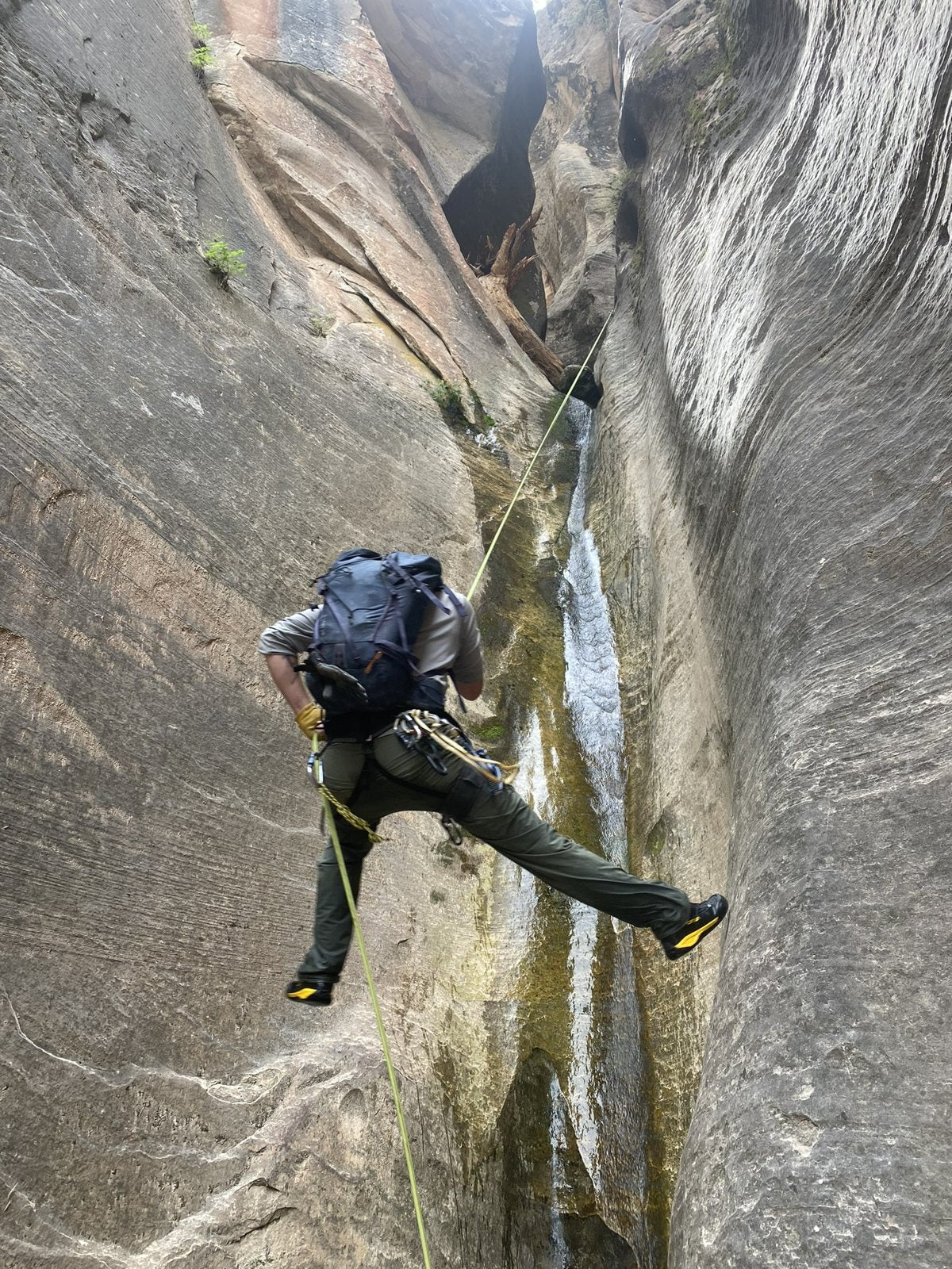 Sandy Cats founder rappelling a slot canyon in Zion